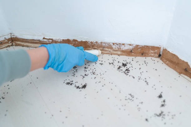 Pest Control Cost in Bettendorf, IA